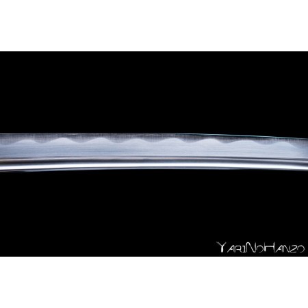 Musashi Wakizashi Shinken