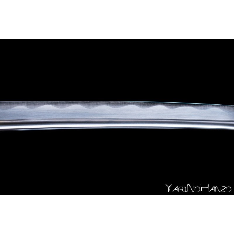 Musashi Wakizashi Shinken