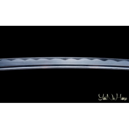 MUSASHI KATANA SHINKEN | SAMURAISCHWERT | HANDGEFERTIGT