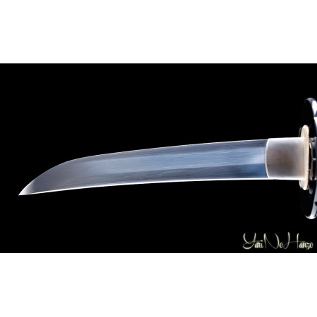 SHINOBI KODACHI IAITO | NINJASCHWERT | HANDGEFERTIGT