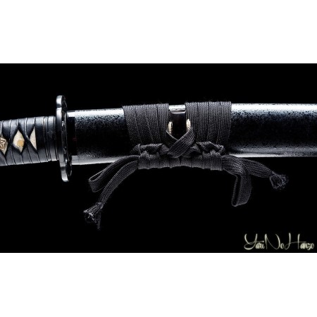 SHINDEN FUDO RYU KATANA SHINKEN | SAMURAISCHWERT | HANDGEFERTIGT
