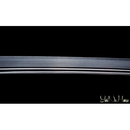 SHINDEN FUDO RYU IAITO KATANA | SAMURAISCHWERT | HANDGEFERTIGT