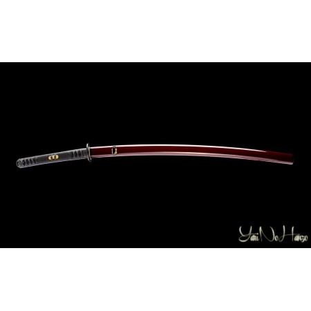 MIYAMOTO MUSASHI IAITO 11th ANNIVERSARY | SAMURAI SCHWERT | HANDGEFERTIGT