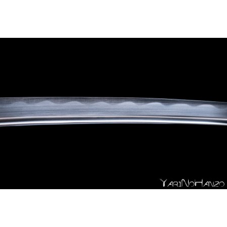 Asakura Wakizashi Shinken