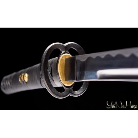 MIYAMOTO MUSASHI IAITO 11th ANNIVERSARY | SAMURAI SCHWERT | HANDGEFERTIGT