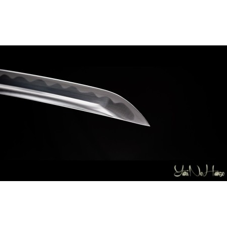 MIYAMOTO MUSASHI IAITO 11th ANNIVERSARY | SAMURAI SCHWERT | HANDGEFERTIGT