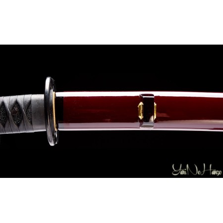 MIYAMOTO MUSASHI IAITO 11th ANNIVERSARY | SAMURAI SCHWERT | HANDGEFERTIGT