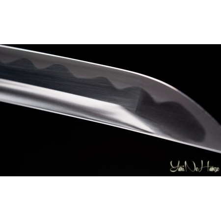 MIYAMOTO MUSASHI IAITO 11th ANNIVERSARY | SAMURAI SCHWERT | HANDGEFERTIGT