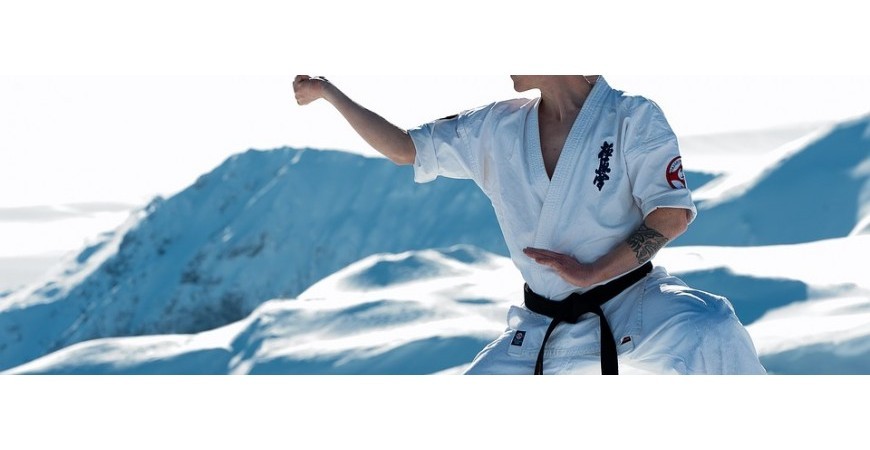 Was ist das Kyokushinkai Karate?